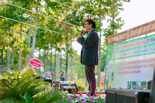 Wild Fortune Casino No Deposit Bonus